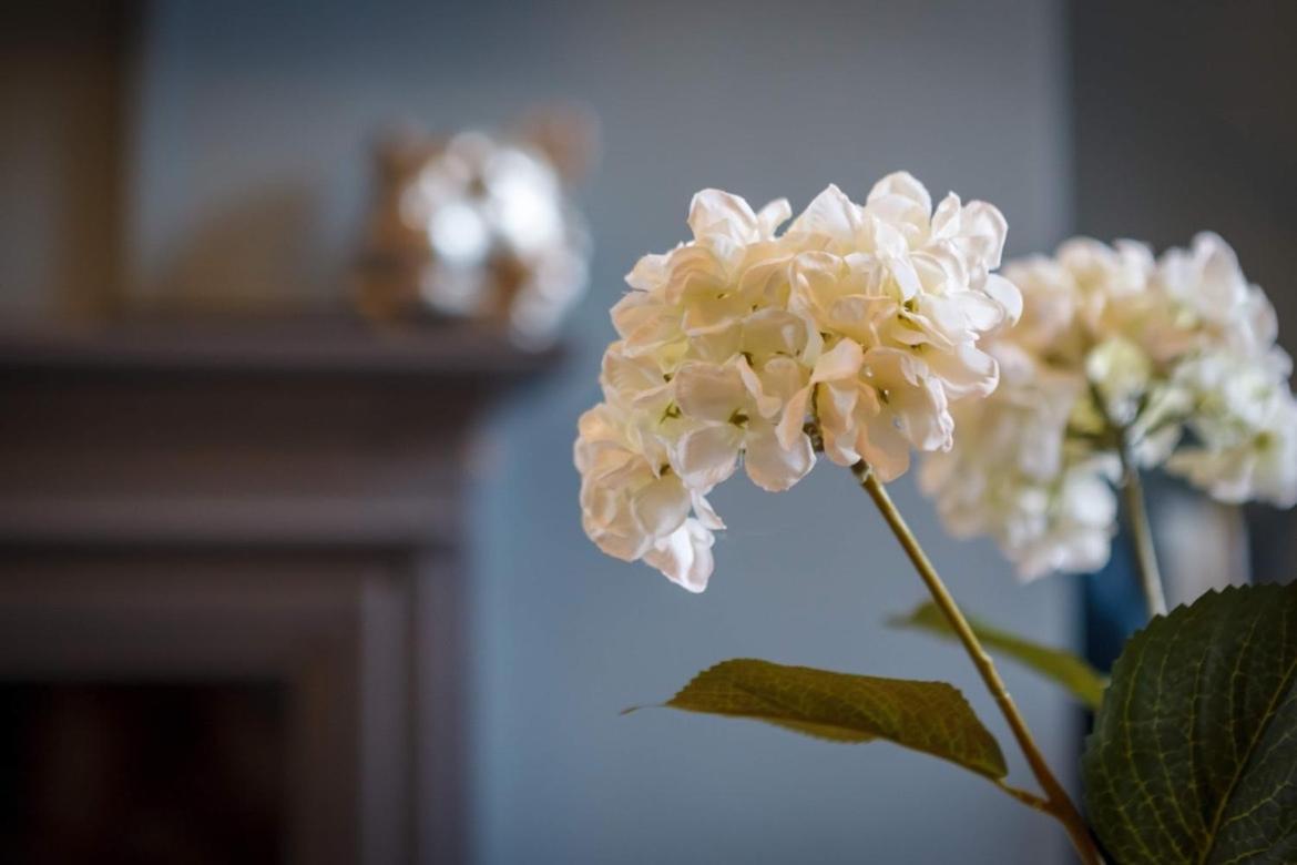 スカーバラ Westbourne Houseヴィラ エクステリア 写真